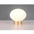 EARL LED BIAŁA LAMPA PRZENOŚNA  RL R57771101